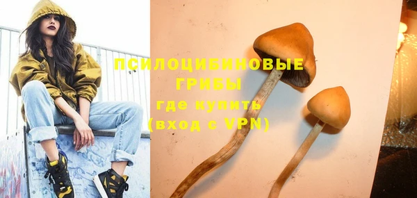 mdpv Пестово