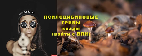 mdpv Пестово