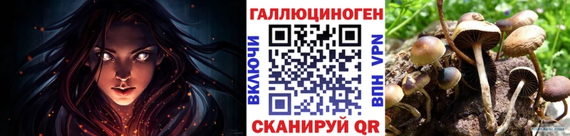 Псилоцибиновые грибы GOLDEN TEACHER  kraken зеркало  Тулун 